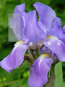 建行房贷逾期一天罚2000 建行房贷逾期一天罚2000