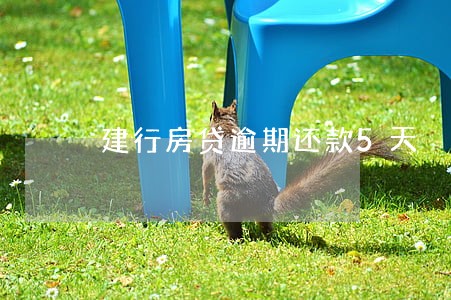 建行房贷逾期还款5天 建行房贷逾期还款5天