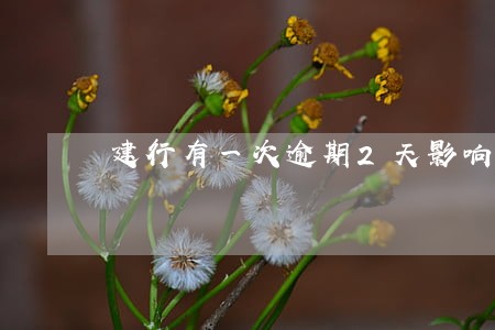 建行有一次逾期2天影响征信吗 建行有一次逾期2天影响征信吗