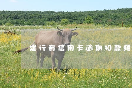 建行有信用卡逾期扣款频率