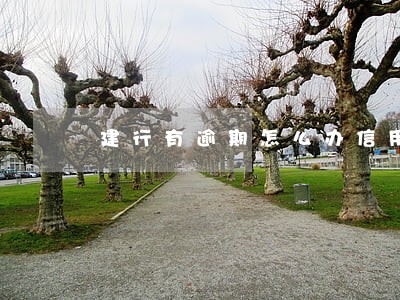 建行有逾期怎么办信用卡