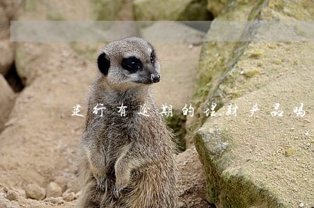 建行有逾期的理财产品吗 建行有逾期的理财产品吗