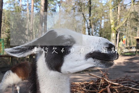 建行欠4000逾期三年能协商么 建行欠4000逾期三年能协商么
