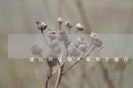 建行的信用卡逾期了银行卡能 建行的信用卡逾期了银行卡能