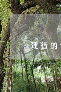 建行的信用卡逾期还能贷款吗 建行的信用卡逾期还能贷款吗
