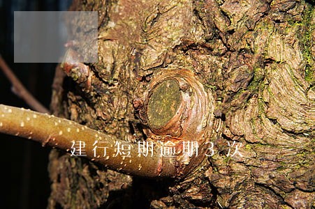 建行短期逾期3次