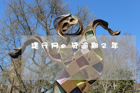 建行网e贷逾期2年 建行网e贷逾期2年