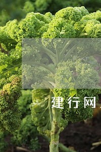 建行网上银行银行承兑逾期了 建行网上银行银行承兑逾期了