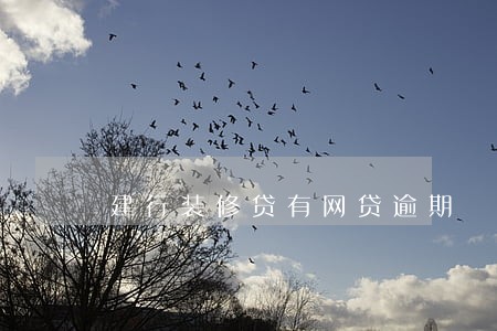 建行装修贷有网贷逾期 建行装修贷有网贷逾期