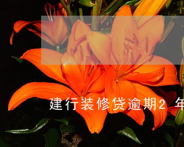 建行装修贷逾期2年
