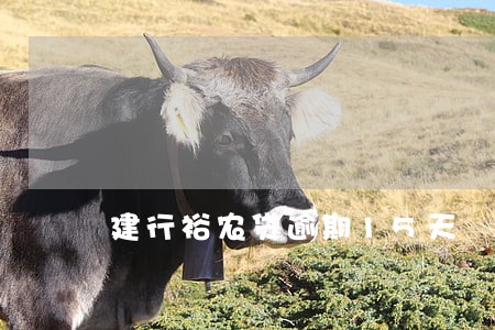 建行裕农贷逾期15天 建行裕农贷逾期15天