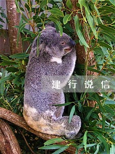 建行说信用卡存在连续逾期 建行说信用卡存在连续逾期