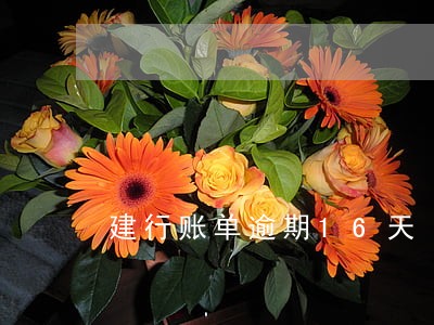 建行账单逾期16天 建行账单逾期16天