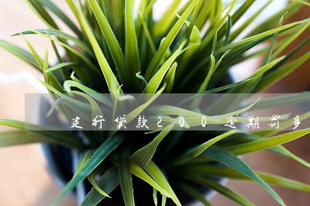 建行贷款200逾期罚多少 建行贷款200逾期罚多少
