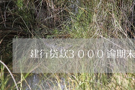 建行贷款3000逾期未还 建行贷款3000逾期未还