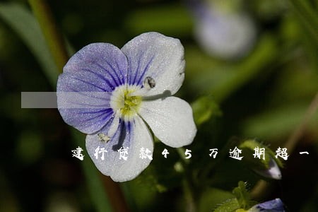 建行贷款45万逾期超一个月月 建行贷款45万逾期超一个月月