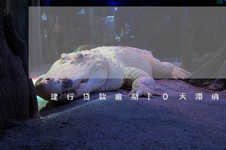建行贷款逾期10天滞纳金多少 建行贷款逾期10天滞纳金多少