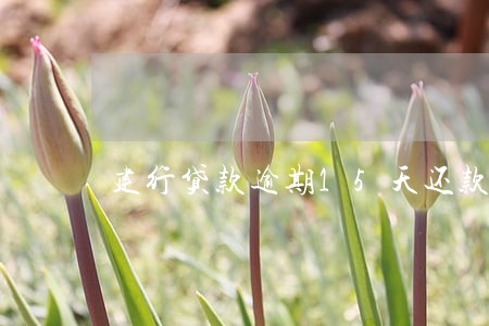 建行贷款逾期15天还款 建行贷款逾期15天还款
