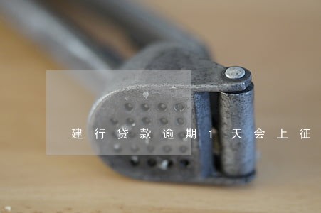 建行贷款逾期1天会上征信吗 建行贷款逾期1天会上征信吗