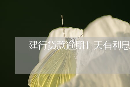 建行贷款逾期1天有利息