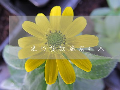 建行贷款逾期4天