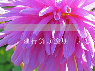 建行贷款逾期一天怎么办 建行贷款逾期一天怎么办