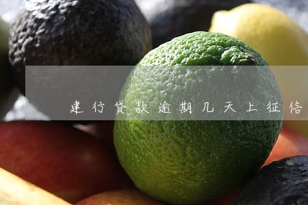 建行贷款逾期几天上征信记录