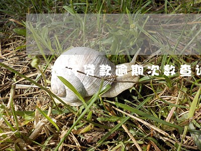 建行贷款逾期次数查询 建行贷款逾期次数查询