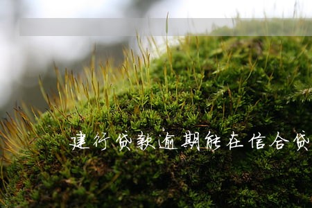建行贷款逾期能在信合贷款吗 建行贷款逾期能在信合贷款吗