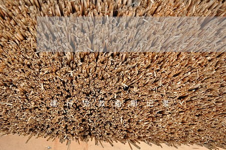 建行贷款逾期记录 建行贷款逾期记录