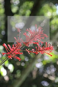 建行贷款逾期还不上怎么办 建行贷款逾期还不上怎么办