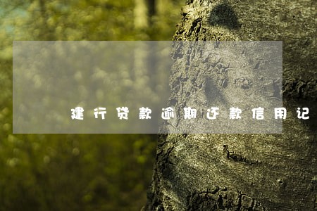建行贷款逾期还款信用记录 建行贷款逾期还款信用记录