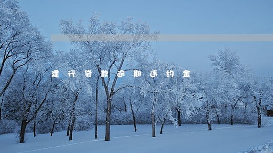 建行贷款逾期违约金 建行贷款逾期违约金