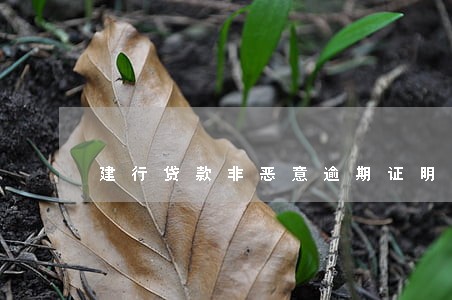 建行贷款非恶意逾期证明 建行贷款非恶意逾期证明