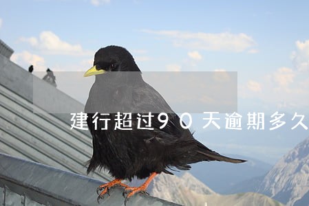 建行超过90天逾期多久 建行超过90天逾期多久