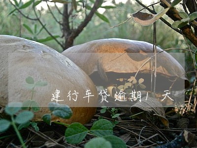 建行车贷逾期1天 建行车贷逾期1天