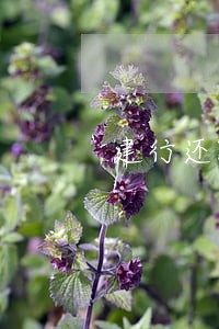 建行还款日晚上9点算不算逾期 建行还款日晚上9点算不算逾期