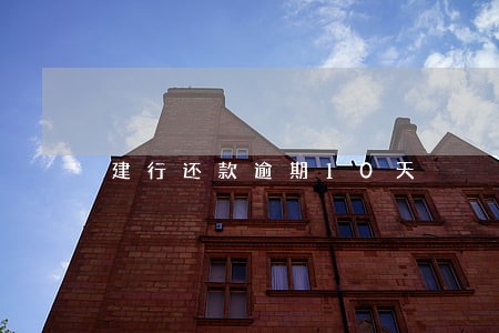 建行还款逾期10天