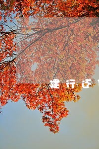 建行还贷逾期1天有影响吗 建行还贷逾期1天有影响吗