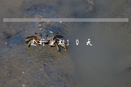 建行逾期10天 建行逾期10天