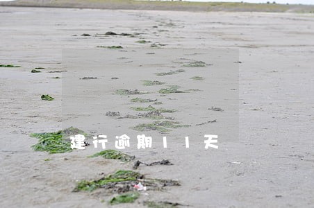 建行逾期11天 建行逾期11天