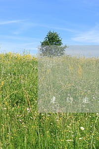 建行逾期11天没上征信 建行逾期11天没上征信