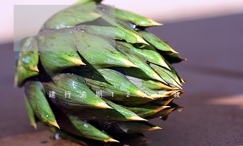 建行逾期12天补救 建行逾期12天补救