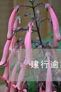 建行逾期14天会怎样 建行逾期14天会怎样