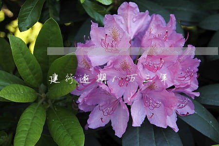 建行逾期1万三年 建行逾期1万三年