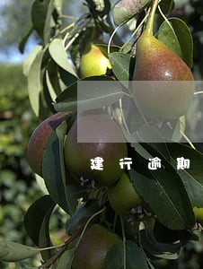 建行逾期1万上门吗
