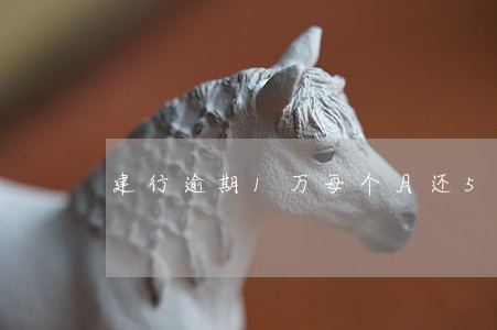 建行逾期1万每个月还500 建行逾期1万每个月还500