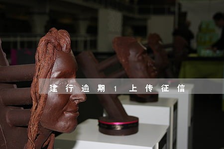 建行逾期1上传征信 建行逾期1上传征信