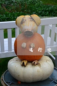 建行逾期1个小时 建行逾期1个小时