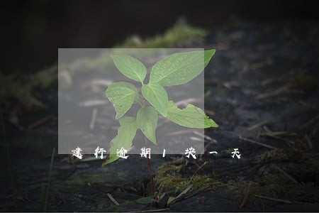 建行逾期1块一天
